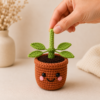 Pot Crochet Pattern PDF | Pull & Grow Amigurumi Plant | Beginner Friendly Crochet Plant Pattern