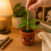 Pot Crochet Pattern PDF | Pull & Grow Amigurumi Plant | Beginner Friendly Crochet Plant Pattern