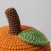 il_fullxfull.7227180516_9wpp.jpg Baby Pumpkin Hat Crochet Pattern, Newborn to Child Sizes, Fall Beanie (PDF Download)