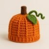 il_fullxfull.7364357485_r8ji.jpg Baby Pumpkin Hat Crochet Pattern, Newborn to Child Sizes, Fall Beanie (PDF Download)