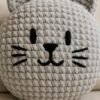 Crochet Cat Pillow Pattern | Chunky Chenille  Cushion Tutorial | Easy Amigurumi  Pattern