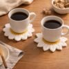 Crochet Flower Coaster Pattern, Daisy Coaster, 2 Petal Styles (PDF)