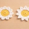 Crochet Flower Coaster Pattern, Daisy Coaster, 2 Petal Styles (PDF)