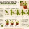 Amigurumi Plant Crochet Pattern PDF | Interactive Pull & Grow Pot Plant For Beginners
