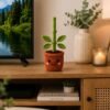 Amigurumi Plant Crochet Pattern PDF | Interactive Pull & Grow Pot Plant For Beginners