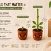 Amigurumi Plant Crochet Pattern PDF | Interactive Pull & Grow Pot Plant For Beginners